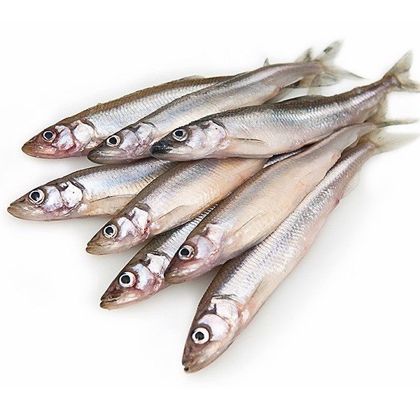 TK.Anchovy Fisch 500gr